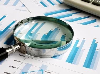 Due-Diligence-investigation